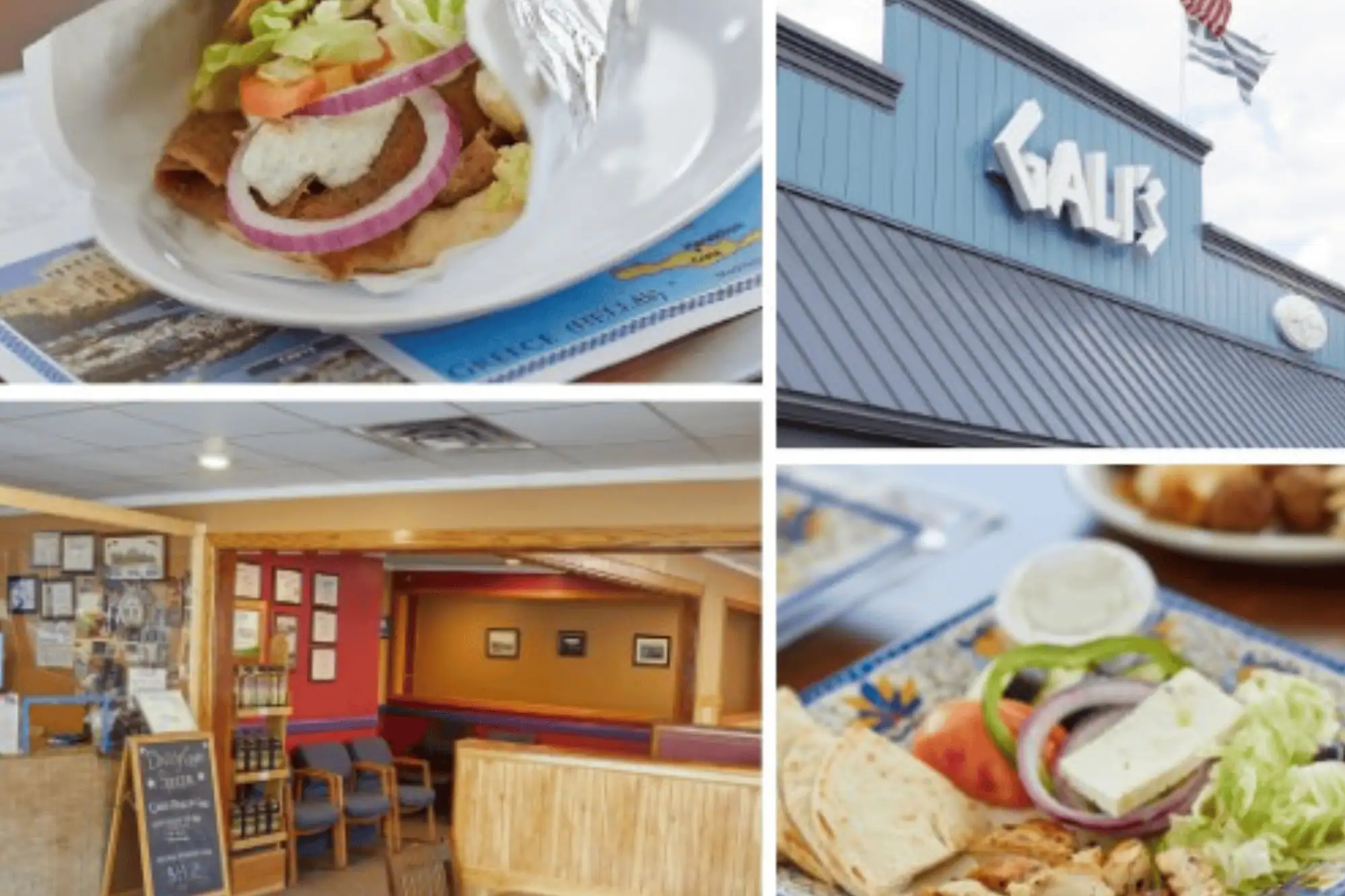 gali's gyro and grill kids menu